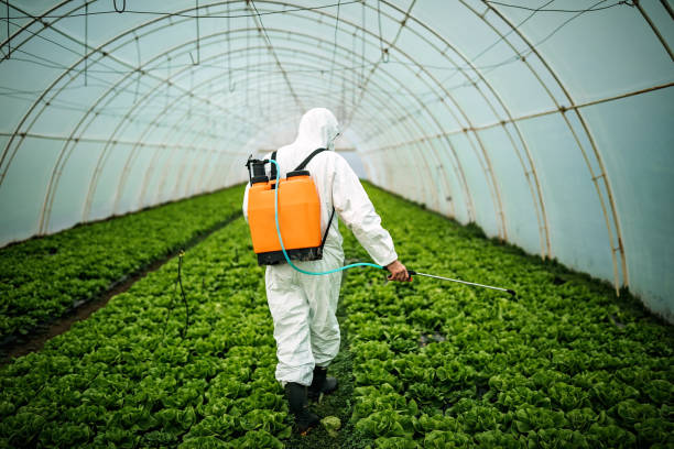 Best Best Pest Control Companies  in Walhalla, SC