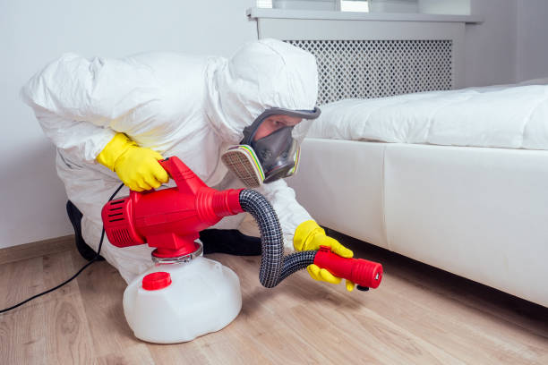 Best Residential Pest Control  in Walhalla, SC