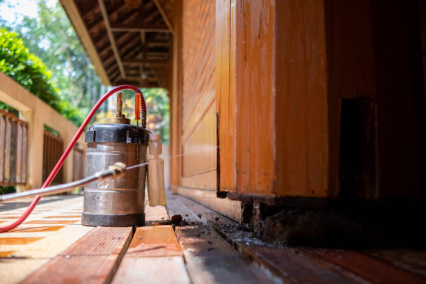Best Mosquito Control Services  in Walhalla, SC