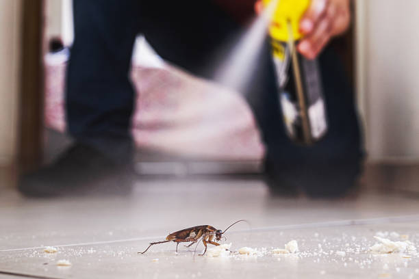 Best Pest Control for Businesses  in Walhalla, SC
