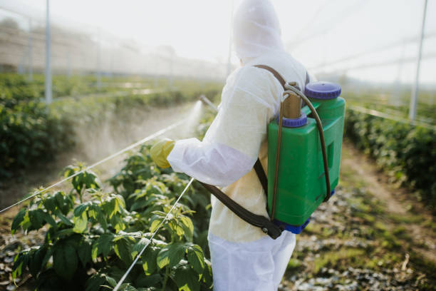 Best Residential Pest Control  in Walhalla, SC